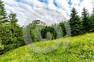 Maly Rozsutec mountain in the Mala Fatra Slovakia national park. Tourist destination for outdoor activities, hiking, trekking.