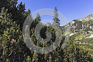 Malyoviska river Valley at Rila Mountain, Bulgaria photo