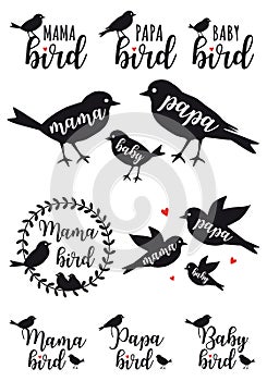 Mama bird, papa bird, baby, vector set