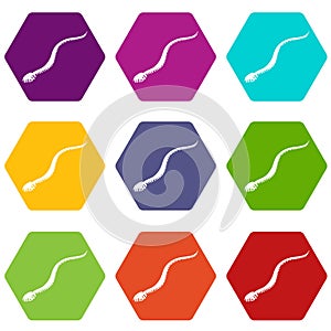 Mamba snake icons set 9 vector