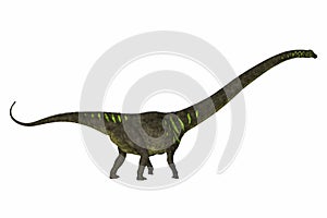 Jurassic Period Mamenchisaurus youngi Side Profile photo