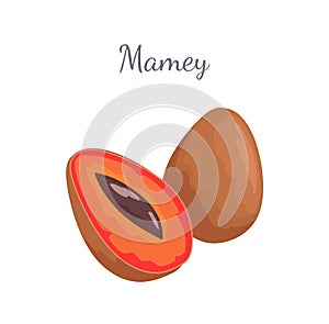 Mamey Exotic Juicy Fruit Vector Whole and Cut Icon