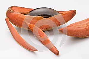 Mamey, tropical fruit