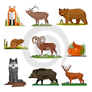 Mammal animals vector set in flat style design. Zoo cartoon icons collection.