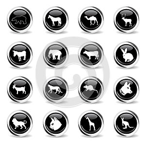 Mammals icon set