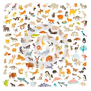 Mammals of the world. Animals cartoon style, mammals icon