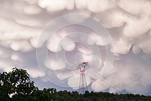 Mammatocumulus photo