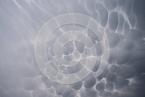 Mammatus clouds photo