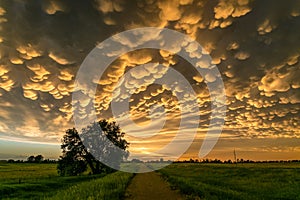 Mammatus over north-central Nebraska photo