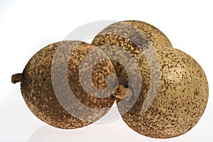 Mammee apple (Mammea americana)