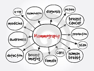 Mammography mind map, medical concept for presentations and reports