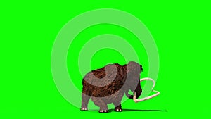 Mammoth attack Prehistoric Animal Jurassic 3D Rendering Greenscreen Chroma Key