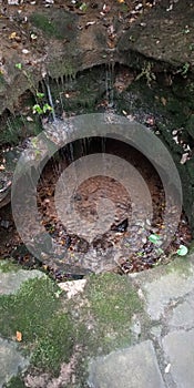 Mammoth Cave Elizabethtown Kentucky