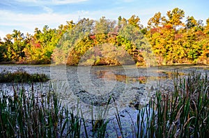 Mammoth Cave National Park