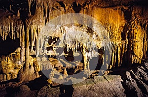 Mammoth Cave National Park photo