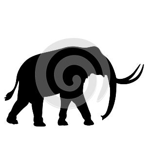 Mammoth Hand drawn, Vector, Eps, Logo, Icon, silhouette Illustration by crafteroks for different uses.