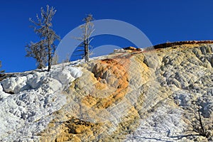 Mammoth Hot Spring in Evening Light, Yellowstone National Park, Wyoming