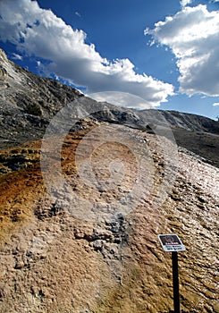 Mammoth Hot Springs