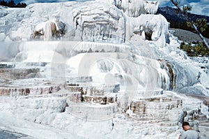 Mammoth Hot Springs in 1959