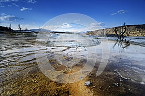 Mammoth Hot Springs