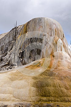 Mammoth Hot Springs