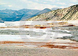 Mammoth Hot Springs Landscape