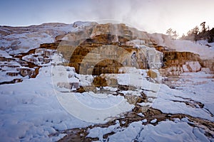 Mammoth Hot Springs with steamy terraces during winter snowy season in Yellowstone National Park, Wyoming