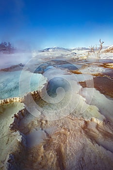 Mammoth Hot Springs with steamy terraces during winter snowy season in Yellowstone National Park, Wyoming