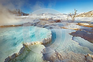 Mammoth Hot Springs with steamy terraces during winter snowy season in Yellowstone National Park, Wyoming