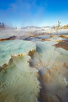 Mammoth Hot Springs with steamy terraces during winter snowy season in Yellowstone National Park, Wyoming