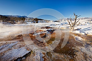 Mammoth Hot Springs with steamy terraces during winter snowy season in Yellowstone National Park, Wyoming