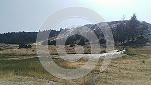 Mammoth Hot Springs Terrace Stream