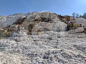 Mammoth Hot Springs Terraces at Yellowstone National Park