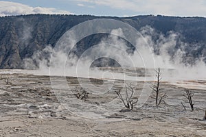 Mammoth Hot Springs Travertine Terraces Scenic Landscape Yellowstone National Park photo