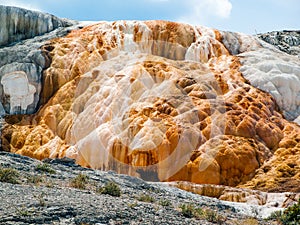 Mammoth Hot Springs of Yellowstone