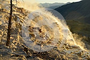 Mammoth Hot Springs in Yellowstone