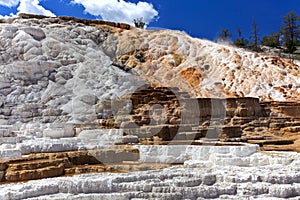 Mammoth Hot Springs,Yellowstone National Park