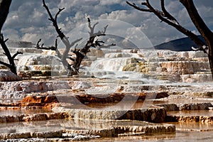 Mammoth Hot Springs at Yellowstone National Park 2