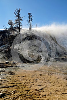 Mammoth hot springs yellowstone