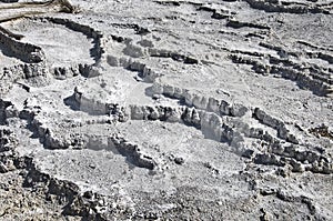 Mammoth hot springs, Yellowstone National Park