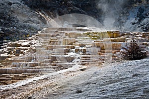 Mammoth hot springs, Yellowstone National Park