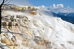 Mammoth Hot Springs, Yellowstone National Park and Preserve, USA.