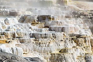 Mammoth Hot Springs, Yellowstone National Park and Preserve, USA.