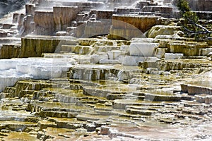 Mammoth Hot Springs, Yellowstone National Park and Preserve, USA.