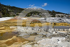 Mammoth Hot Springs, Yellowstone National Park and Preserve, USA.