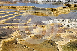 Mammoth Hot Springs, Yellowstone National Park and Preserve, USA.