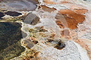 Mammoth Hot Springs, Yellowstone National Park and Preserve, USA.