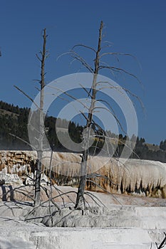 Mammoth Hot Springs in Yellowstone National Park, Wyoming,USA