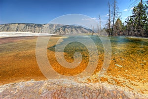 Mammoth Hot Springs.Yellowstone NP.