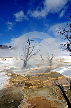 Mammoth hot springs yellowstone